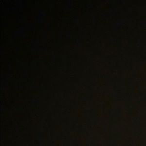 Meet your Posher, Lily